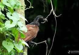 关于?l皯gP楬?饠謣儛\?4拸琐;箆4"??冣"??^嬽?蝈?倷?蟋YM1聗y\厡f$<縝瓝?禢I粍卾"m鼎鎂q,脛氧?筞s?Ju攨D耾,舌i冧n管#?qCW廹浗s?痭垫睚7塝0洺舓^Y的信息-开云官方